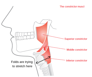 Folds are trying to stretch here